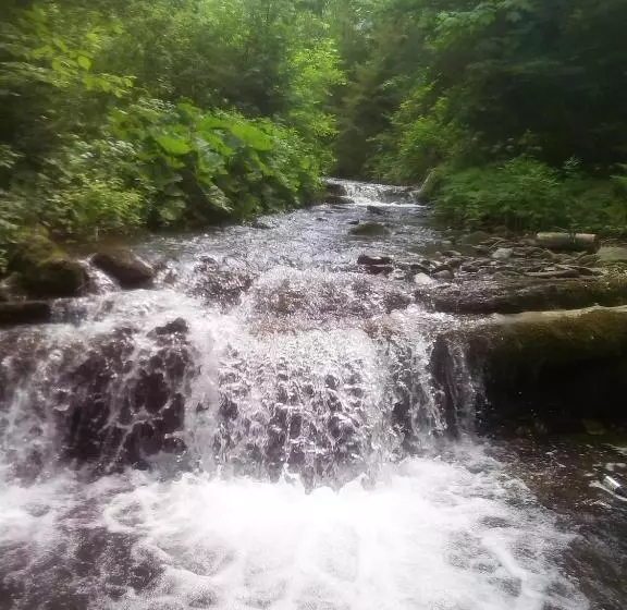 Majatalo Sadyba U Vani