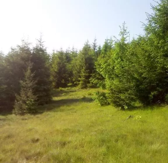 Majatalo Sadyba U Vani