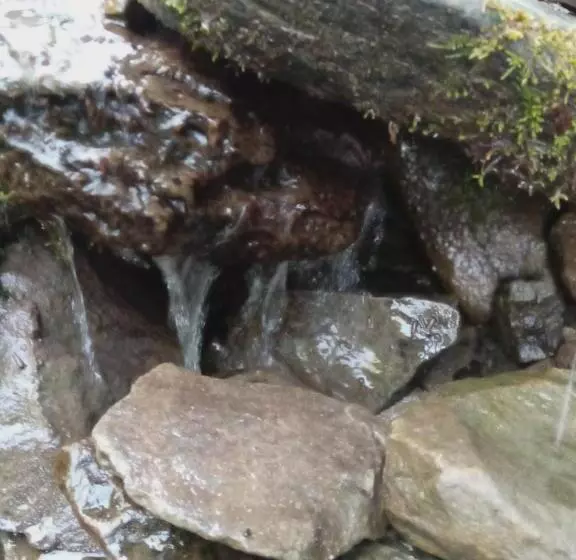 Majatalo Sadyba U Vani