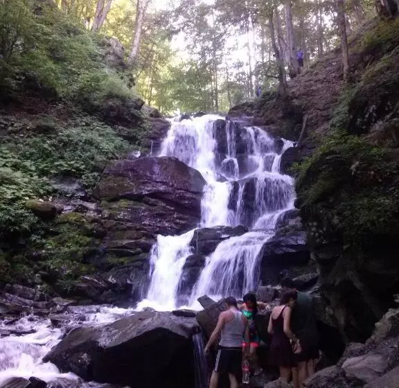 Majatalo Sadyba U Vani