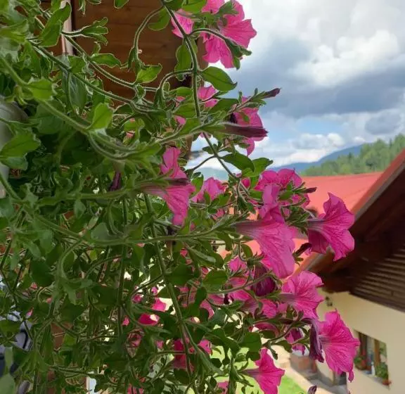 Pensiunea Dumitrita