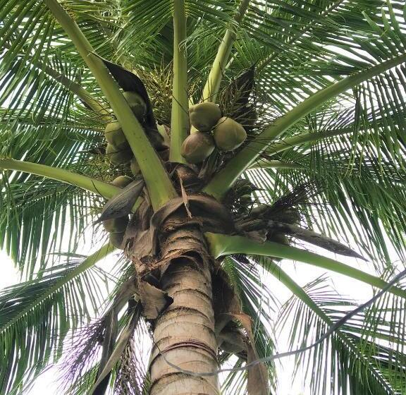 הוסטל Dar Yasmine Motel