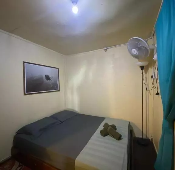 ユースホステル Seahorse Diver Guesthouse