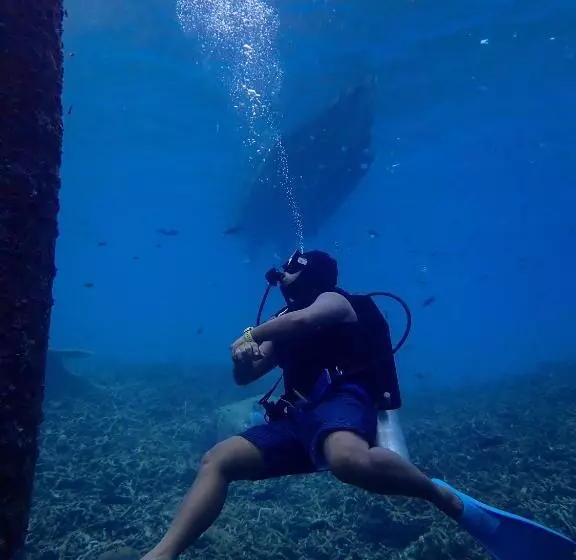 ユースホステル Seahorse Diver Guesthouse
