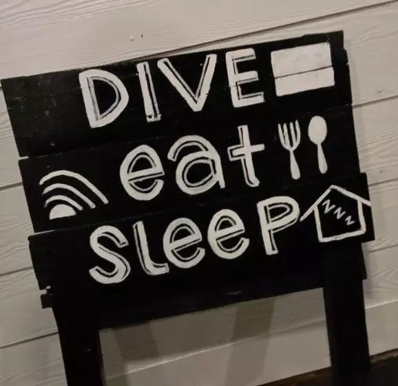 ユースホステル Seahorse Diver Guesthouse