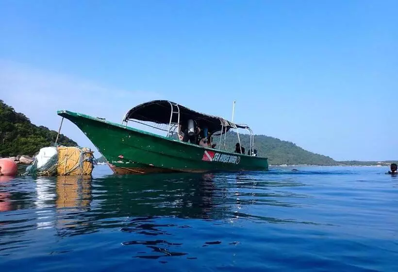 ユースホステル Seahorse Diver Guesthouse