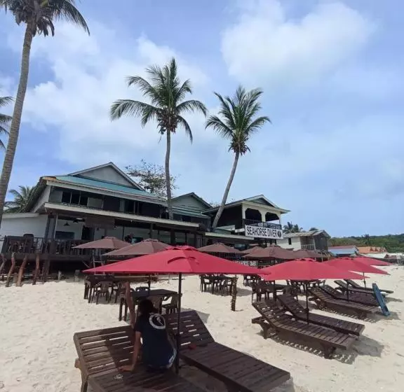 ユースホステル Seahorse Diver Guesthouse