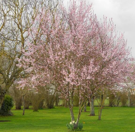 민박 Chambres D Hôtes Les Tilleuls