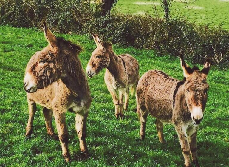 مبيت وإفطار Gîtes Les Demeures De Valette