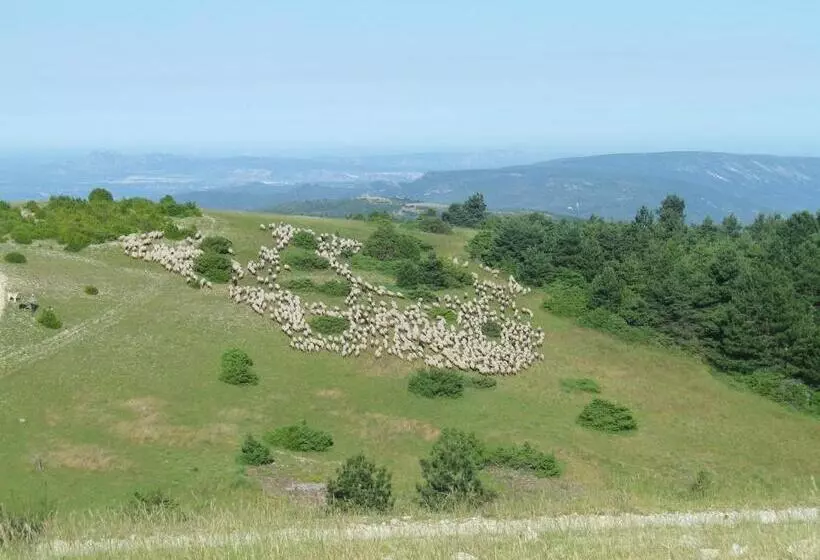 ベッドアンドブレックファースト La Mordorée