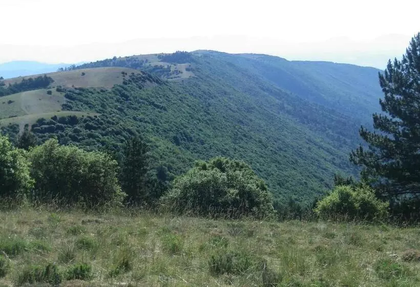 ベッドアンドブレックファースト La Mordorée