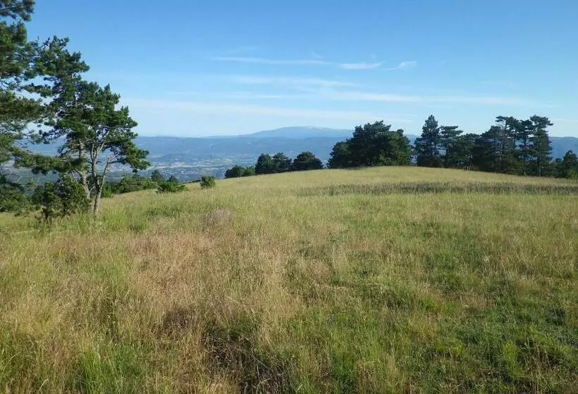 ベッドアンドブレックファースト La Mordorée