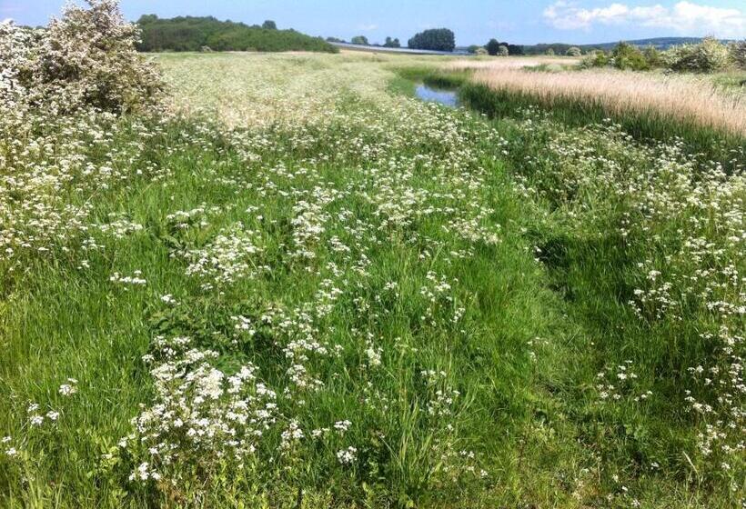 Bed and Breakfast Stone Street