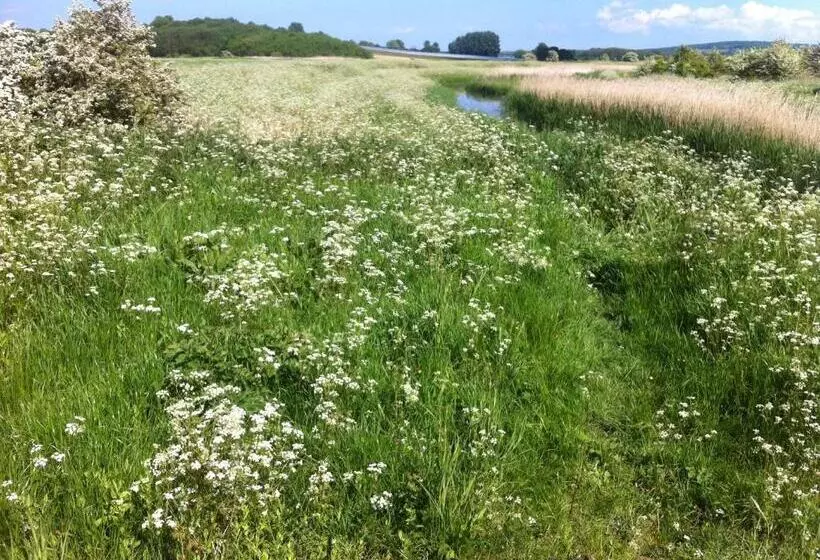 Aamiaismajoitus (B&B) Stone Street