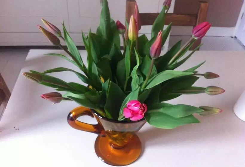 Aamiaismajoitus (B&B) Stone Street