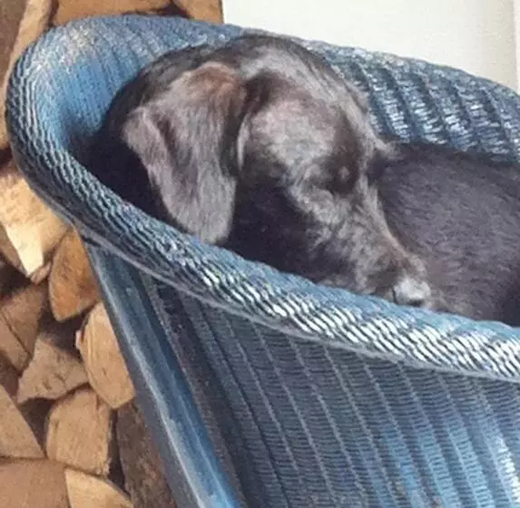 Aamiaismajoitus (B&B) Stone Street