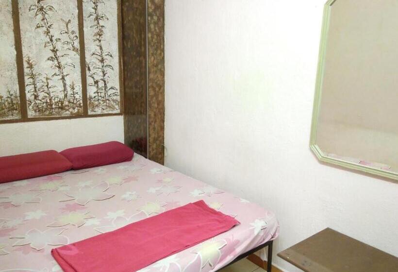 בית מלון כפרי New Budget Inn