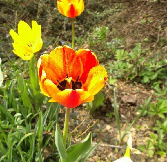 Отель Sommerhaus