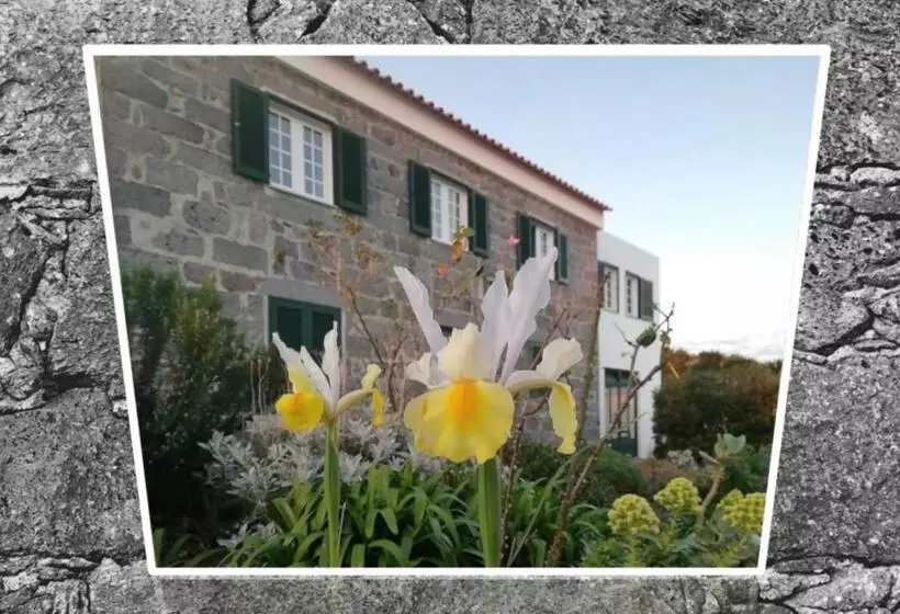 ペンション Belo Campo   Ilha Do Faial