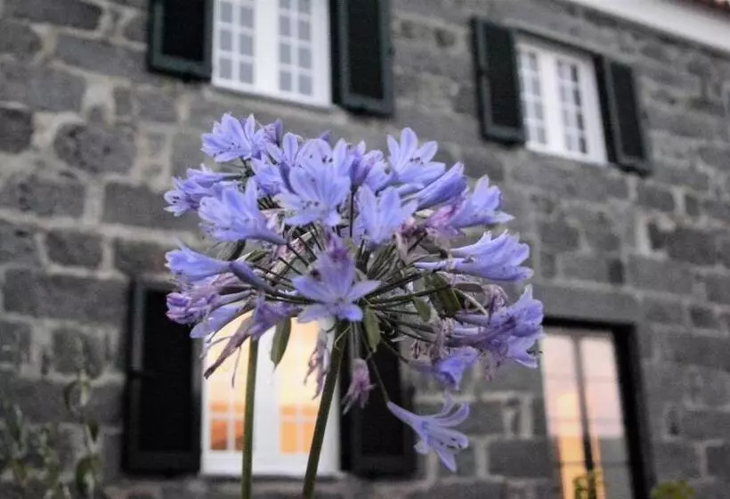 ペンション Belo Campo   Ilha Do Faial