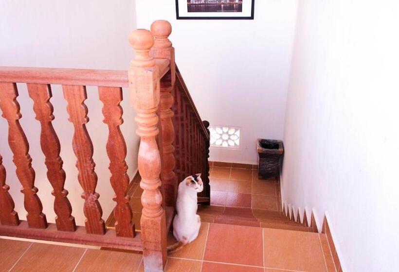 Pensão Family Lodge 25