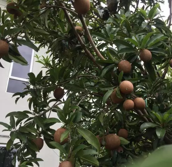 ペンション Family Lodge 25