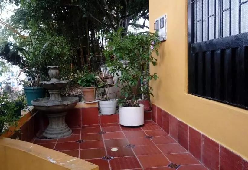 ペンション Hospedaje Alto De San Luis   Vivienda Turística Rnt 90280