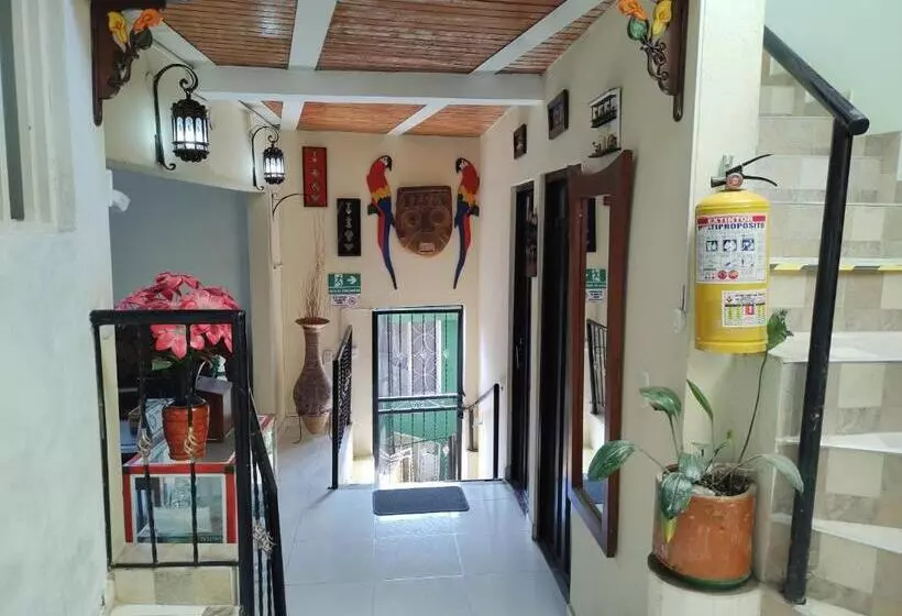 ペンション Hospedaje Alto De San Luis   Vivienda Turística Rnt 90280