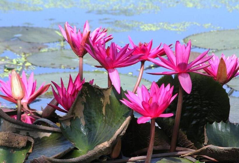 Pensión My Parents Guesthouse