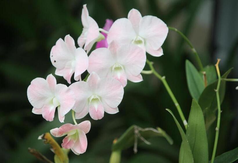 Pensión My Parents Guesthouse