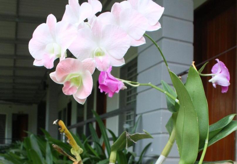 Pensión My Parents Guesthouse