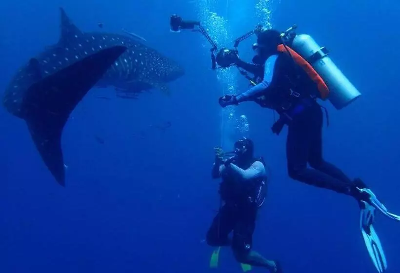 Majatalo Riverbank Dungun Guesthouse & Cafe