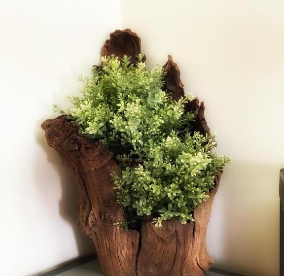 膳宿费 Rubbiano River Cottage