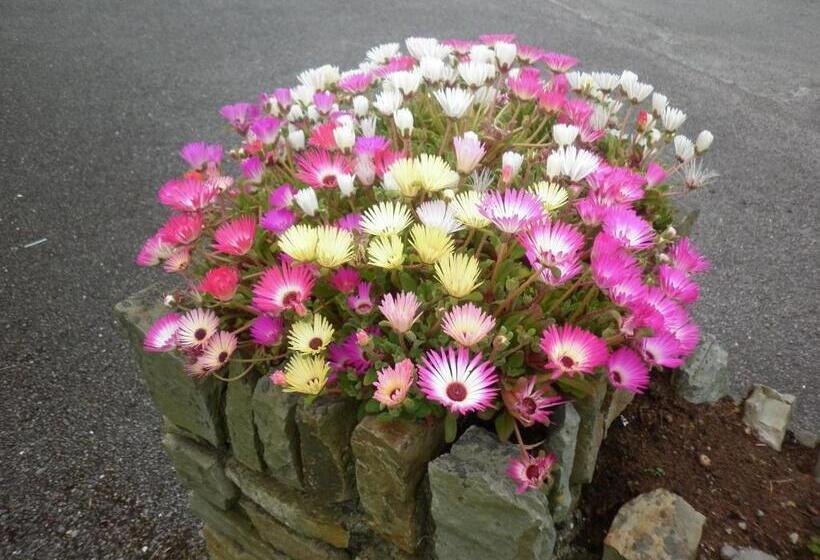 צימר Coulagh Bay House