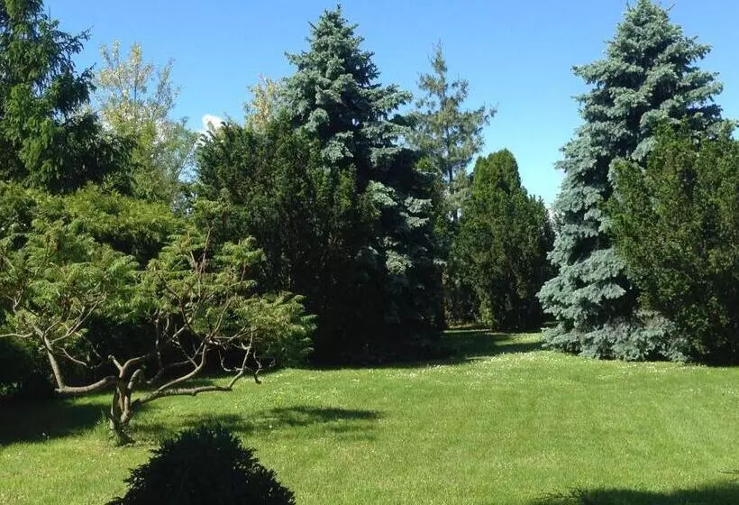 Aamiaismajoitus (B&B) Korona Panzió