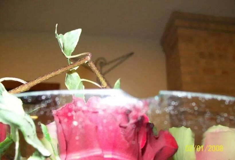 Hotelli Ristorante Il Gambero