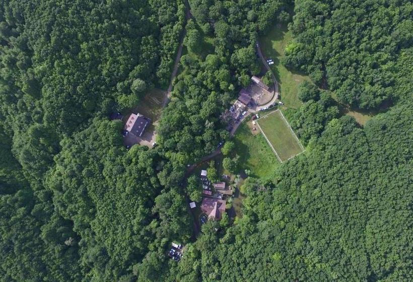 膳宿费 Cabana Izvoranu