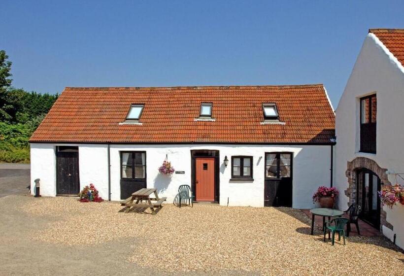 リゾートホテル Celtic Haven