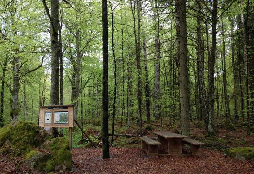 Stf Regnagården Hostel