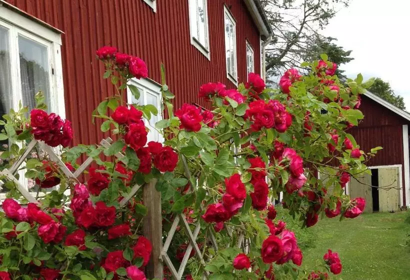 Stf Regnagården Hostel