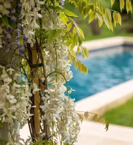 Hotelli Le Clos