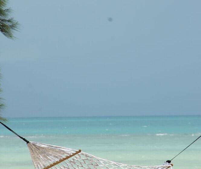 リゾートホテル Sea Love Beach Bar & Bungalows