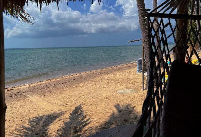 リゾートホテル Sea Love Beach Bar & Bungalows