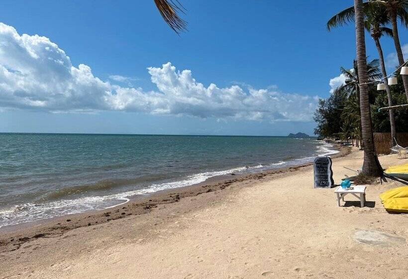 リゾートホテル Sea Love Beach Bar & Bungalows