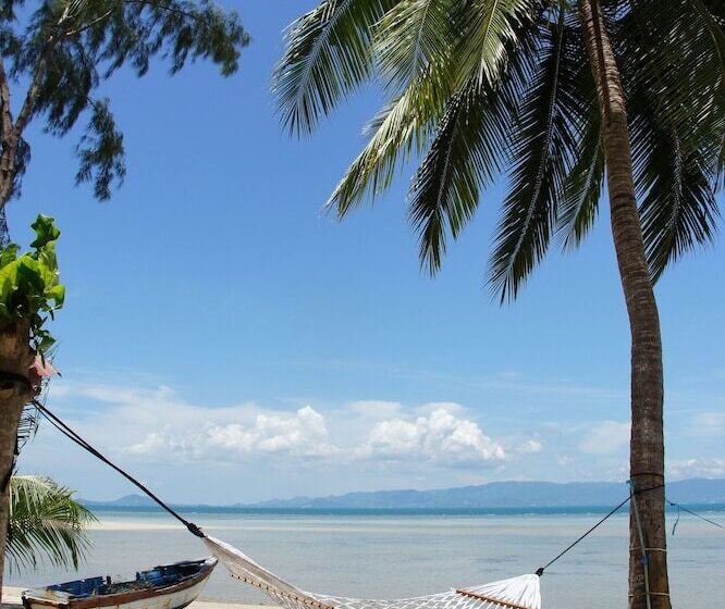 リゾートホテル Sea Love Beach Bar & Bungalows