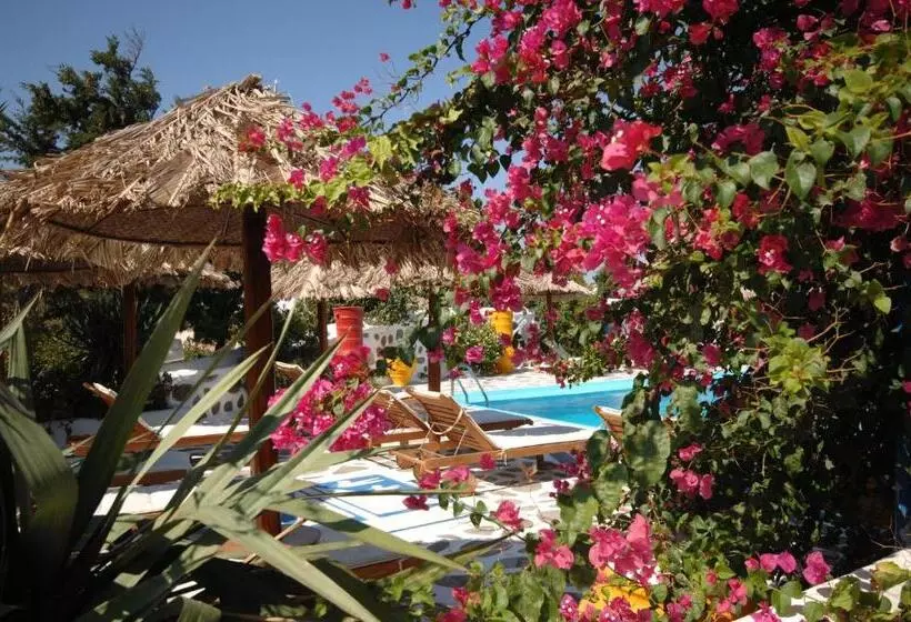 Sun Of Mykonos Studios