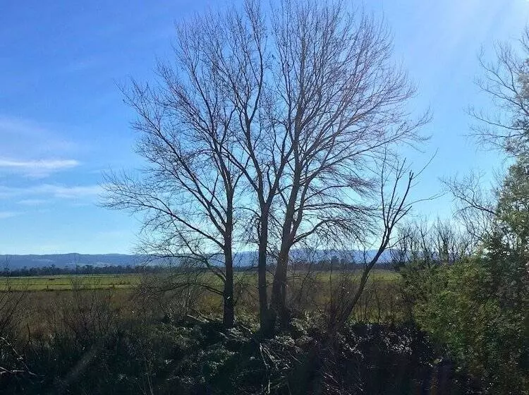 Abington Farm