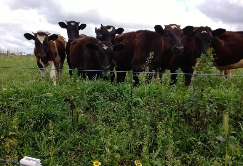 Abington Farm