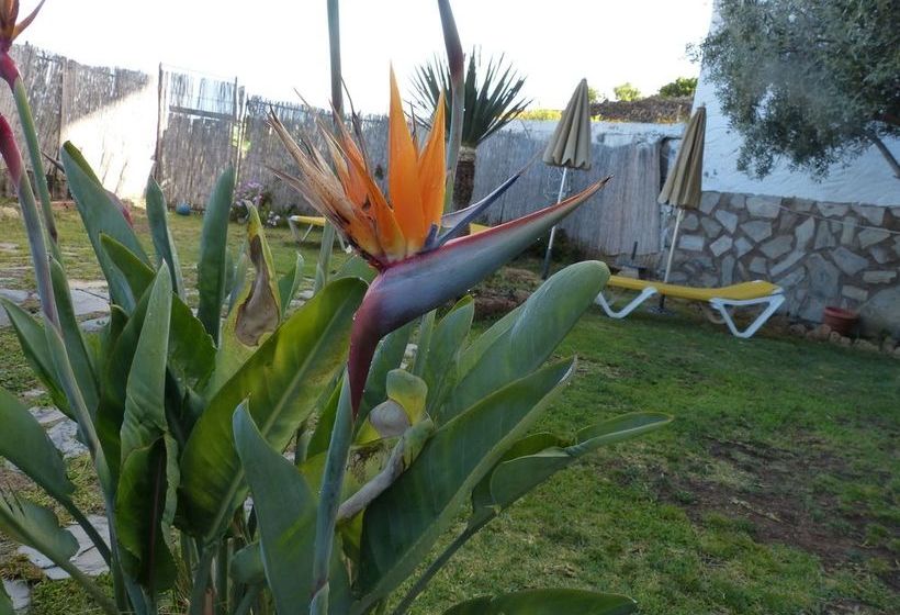 Apartamentos Suncanarias Vilaflor