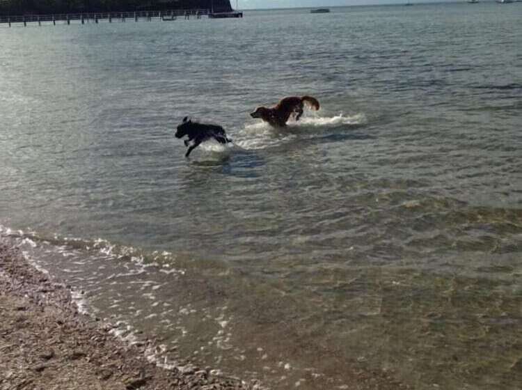 Bayplay Beach Accommodation 2 Locations